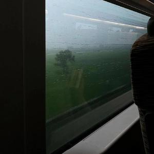 校花吊起被内裤涂春药高潮了
