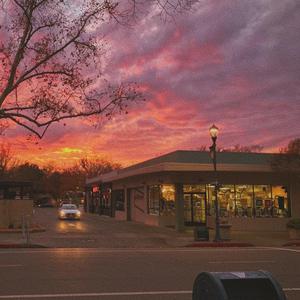 校花吊起被内裤涂春药高潮了
